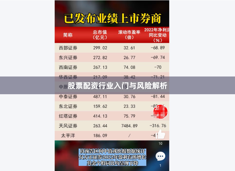 股票配资行业入门与风险解析